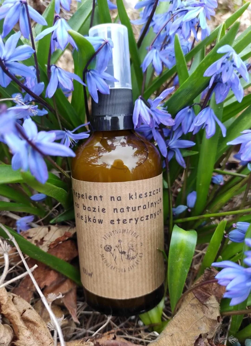 289338719 1211582836251064 7027305328868097706 n